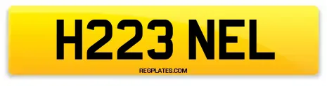 H223 NEL