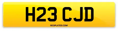 H23 CJD
