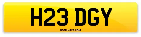 H23 DGY