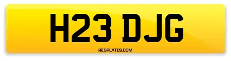H23 DJG
