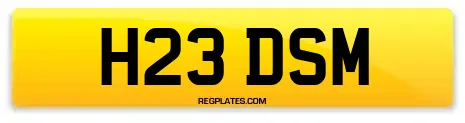 H23 DSM