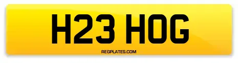 H23 HOG