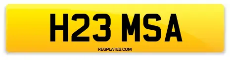 H23 MSA