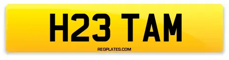 H23 TAM
