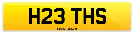 H23 THS
