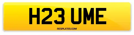 H23 UME