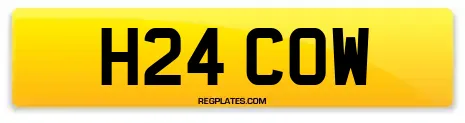H24 COW