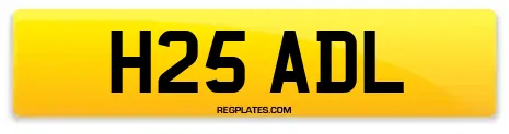 H25 ADL