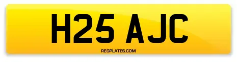 H25 AJC