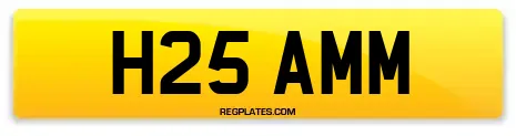 H25 AMM