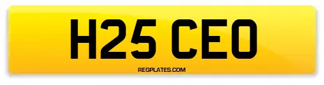 H25 CEO