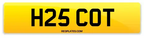 H25 COT