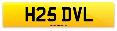 H25 DVL
