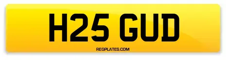 H25 GUD