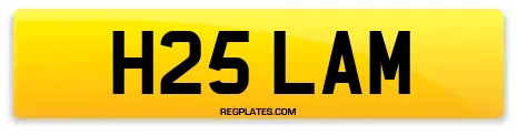 H25 LAM