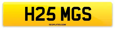 H25 MGS