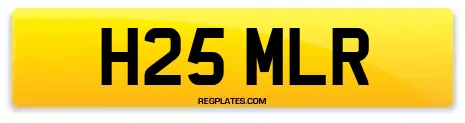 H25 MLR