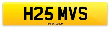 H25 MVS