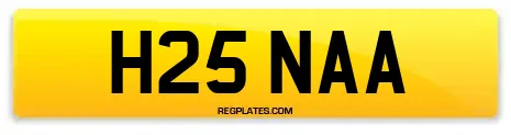 H25 NAA