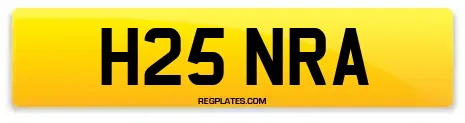 H25 NRA