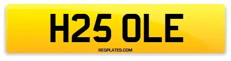 H25 OLE