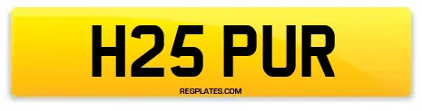 H25 PUR