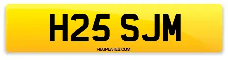 H25 SJM