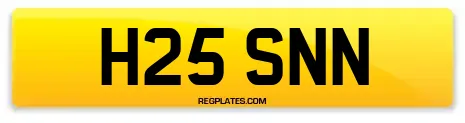 H25 SNN