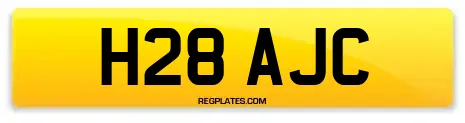 H28 AJC