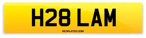 H28 LAM