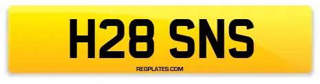H28 SNS