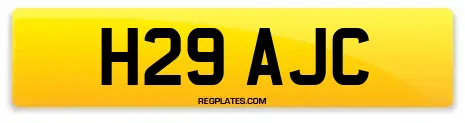 H29 AJC