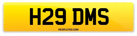 H29 DMS