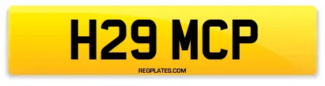 H29 MCP