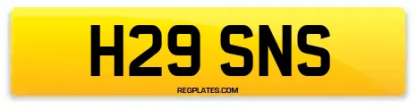 H29 SNS