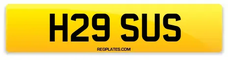 H29 SUS