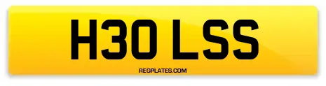 H30 LSS
