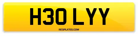 H30 LYY