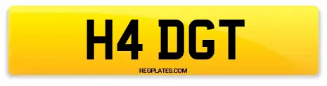 H4 DGT