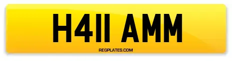 H411 AMM