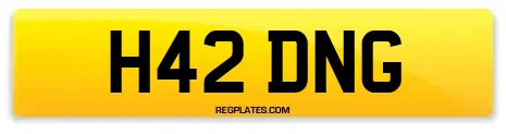 H42 DNG