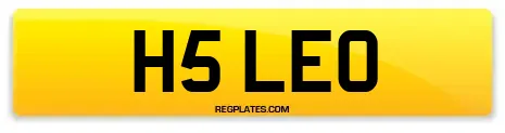 H5 LEO