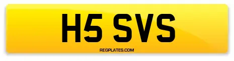 H5 SVS