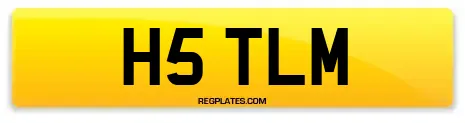 H5 TLM