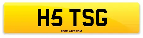 H5 TSG