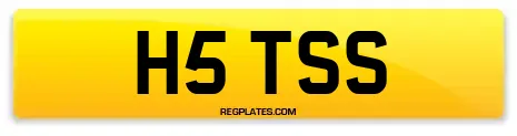 H5 TSS