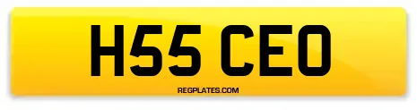 H55 CEO