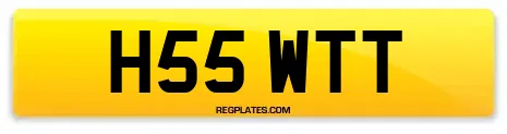 H55 WTT
