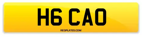 H6 CAO