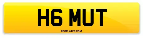 H6 MUT
